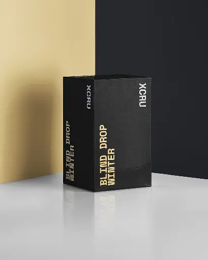 BLIND BOX - WINTER